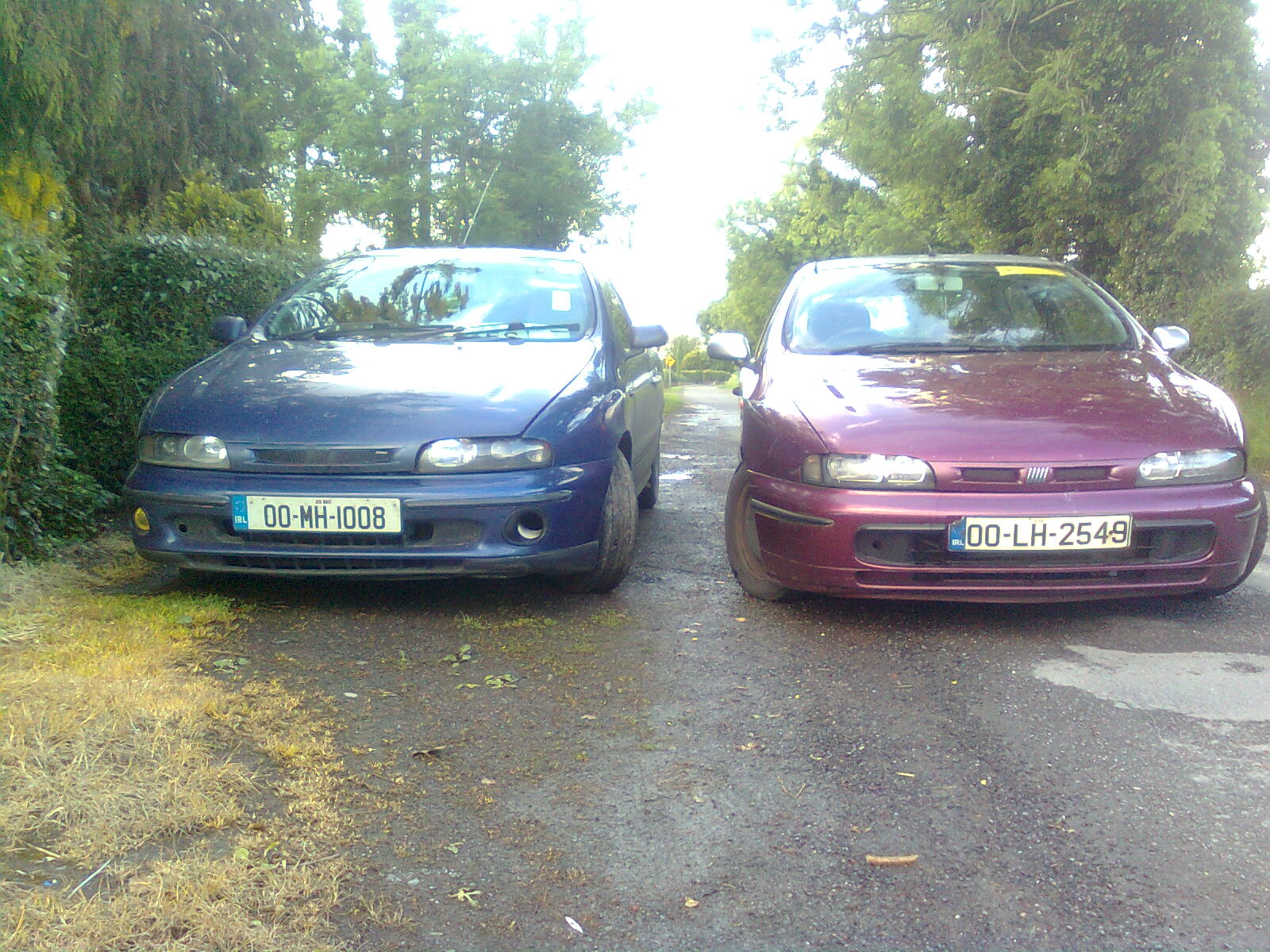Image2083.jpg