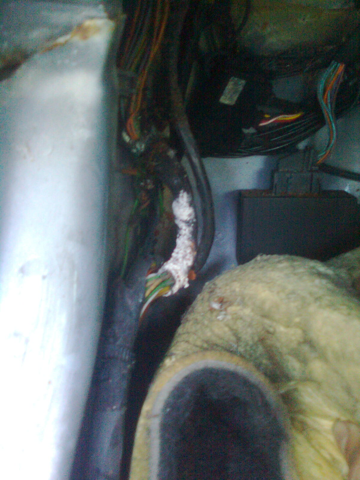 Image2176.jpg