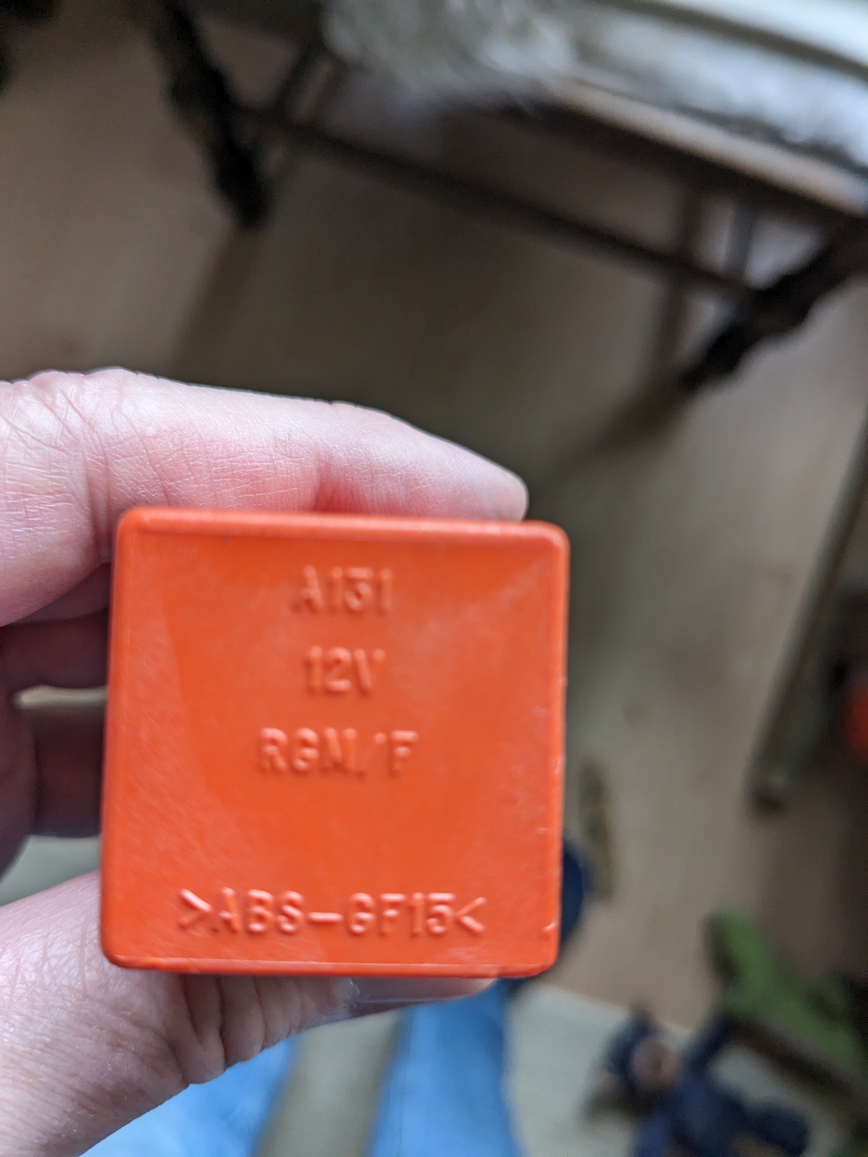 1000006061.jpg