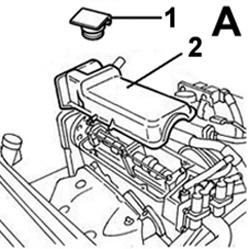 169005924_2.jpg