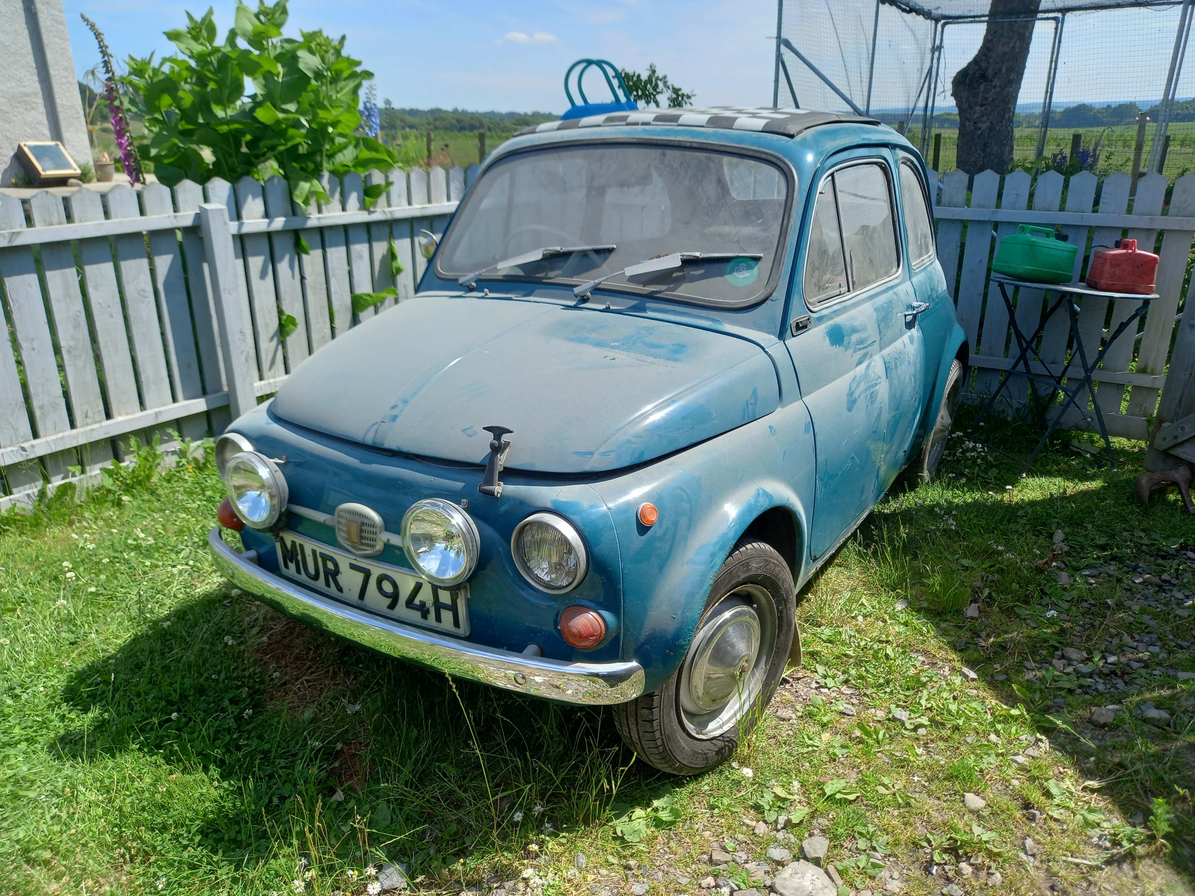 20230618_121141.jpg