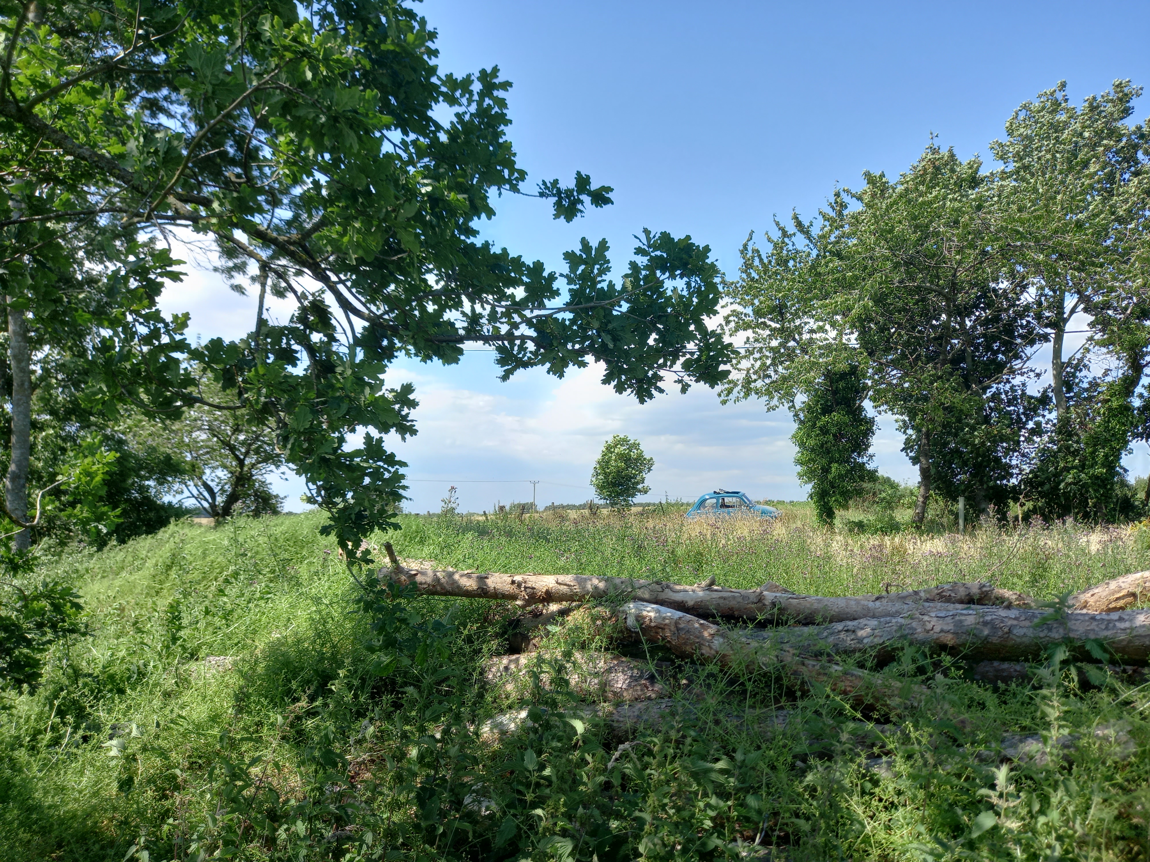 20230708_122407.jpg