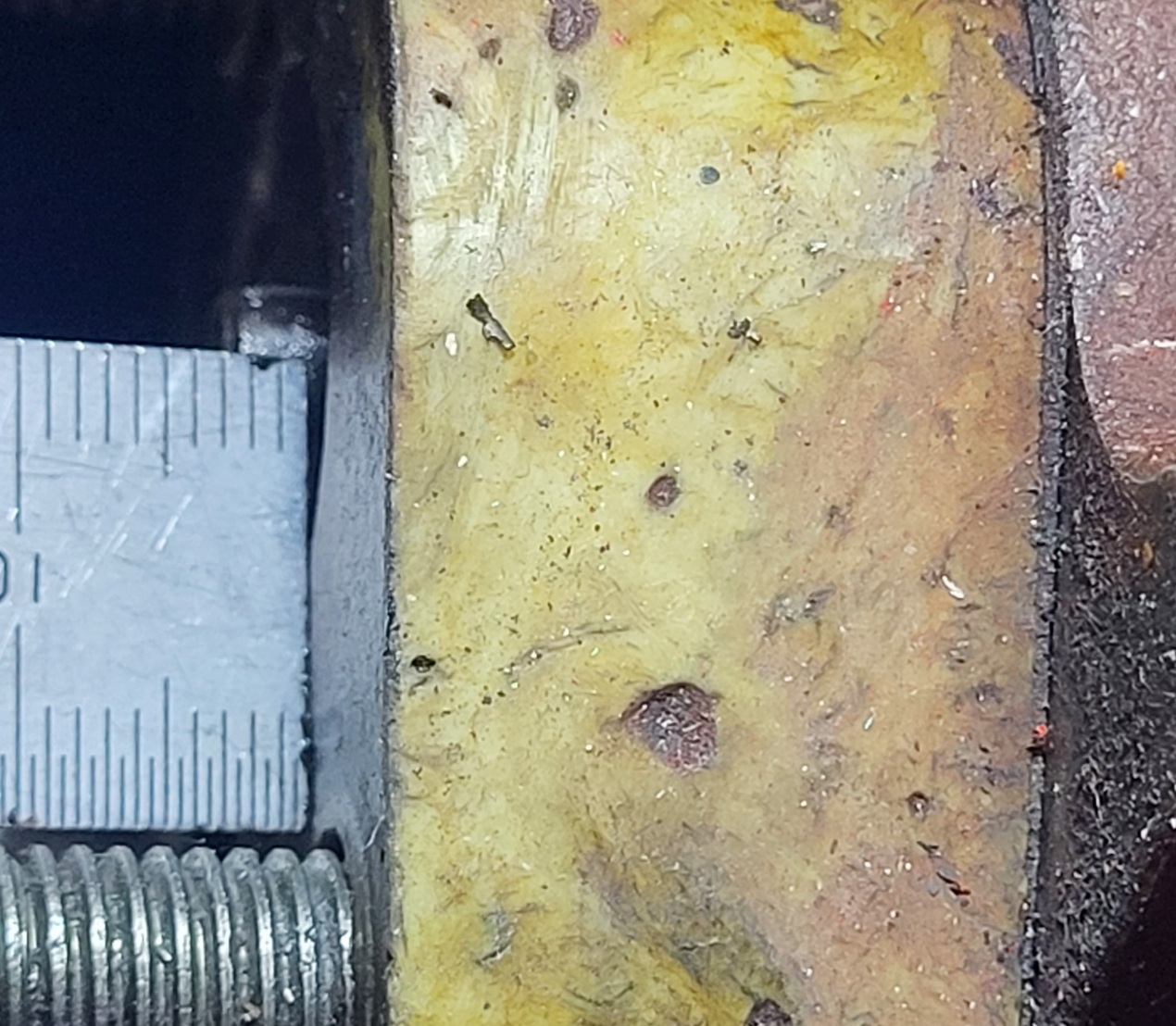 20230909_101456.jpg