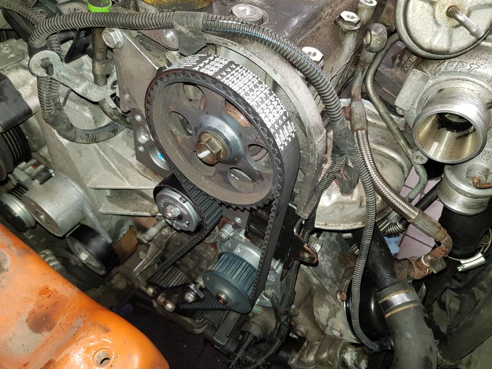 Fiat punto timing belt online