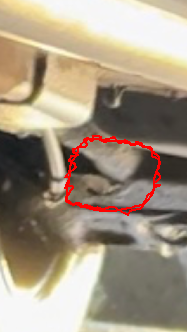 8F2A7726-4530-4EC1-B4E6-CE6CD2E5AAF1.png