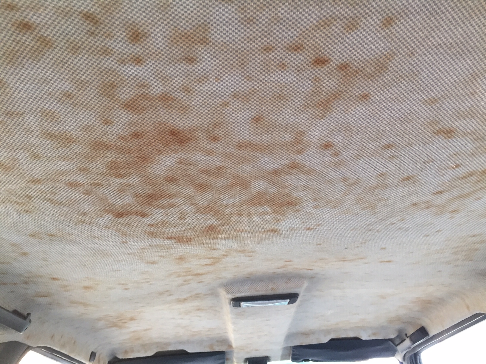 car inside roof (2022_05_14 12_28_05 UTC).JPG