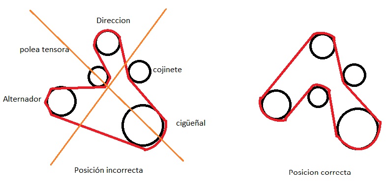 distribución.jpg