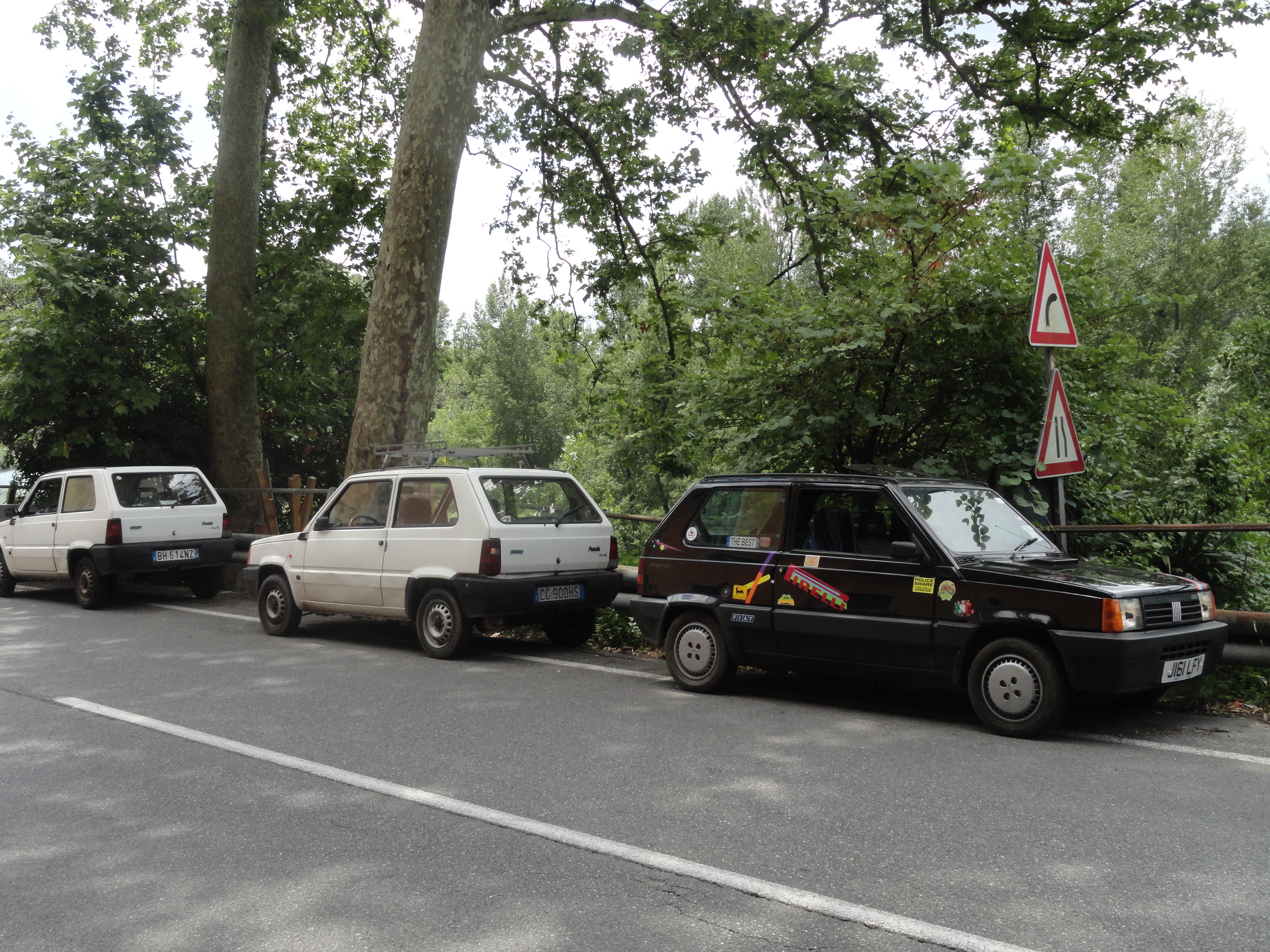 DSC00656 (1).JPG