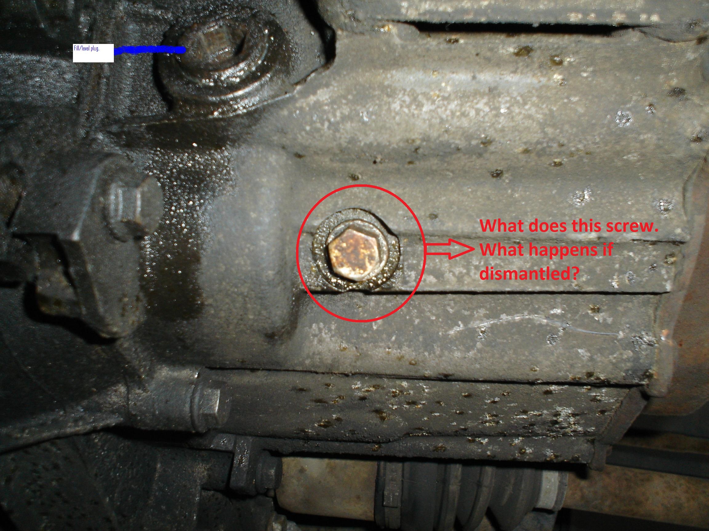 Gearbox Bolt FIAT Punto (Mk2/2b) The FIAT Forum