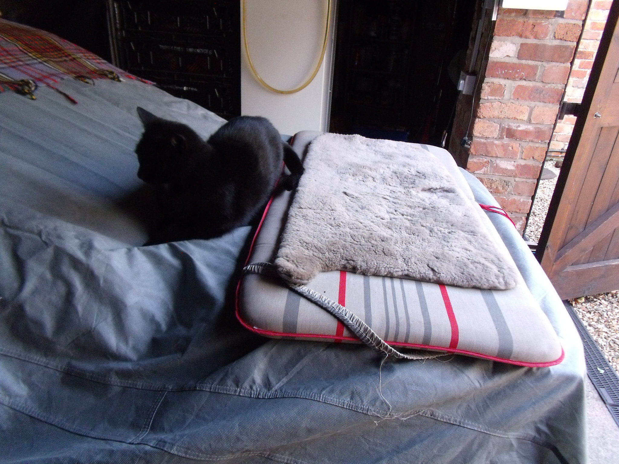 DSCF4033.JPG