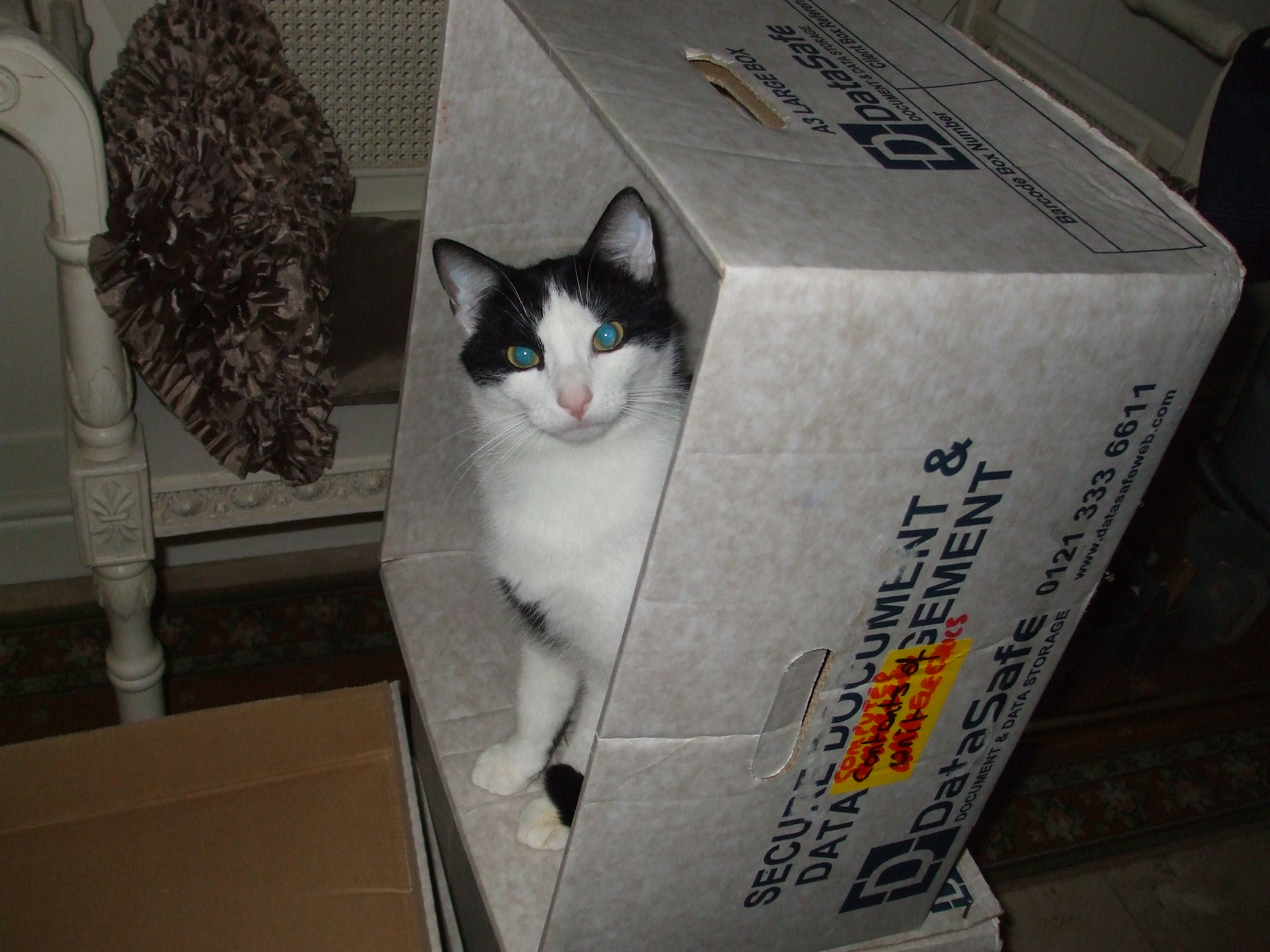 DSCF5496.JPG