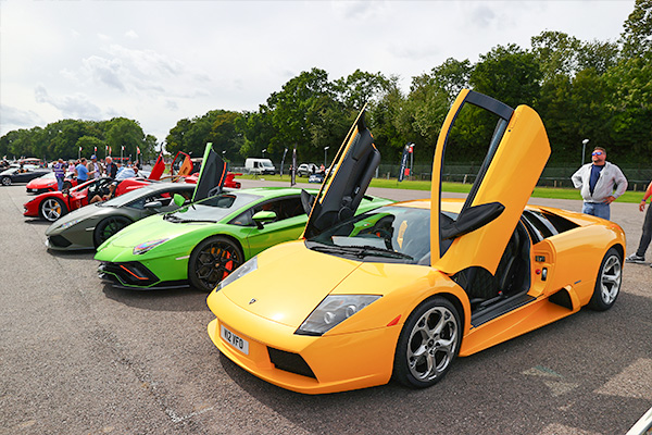f123f169-89fb-4d1f-a88c-dadca8a17dbf.jpg