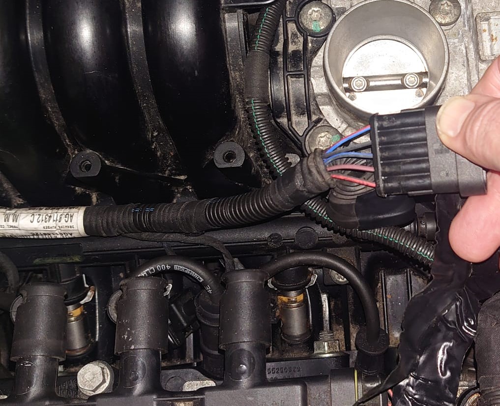 Fiat 500 injector loom.jpg