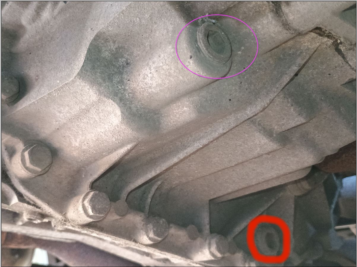 Image1.png