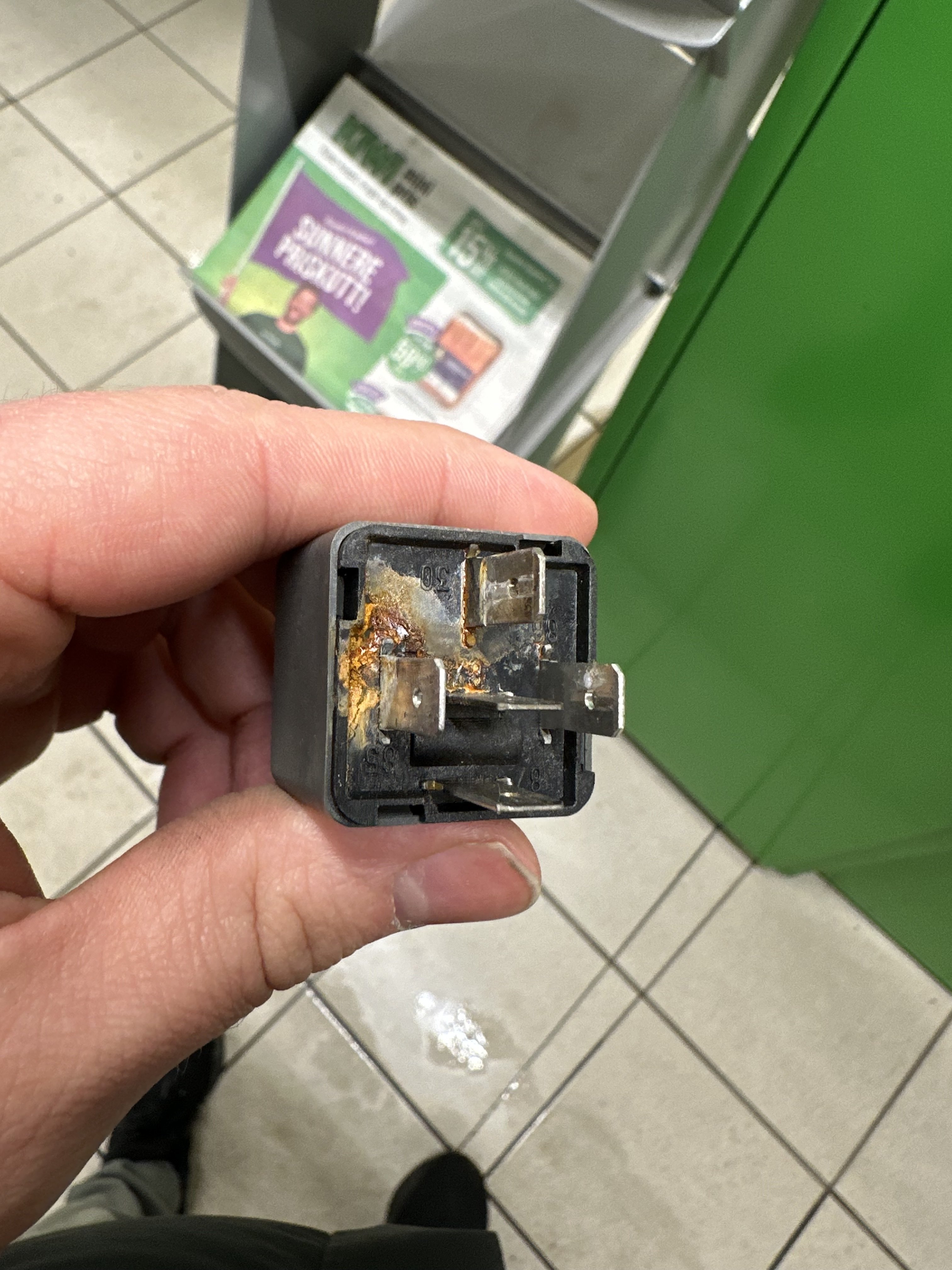 IMG_4817.jpeg