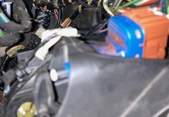 IMG_5712.jpg