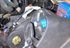IMG_5721.jpg
