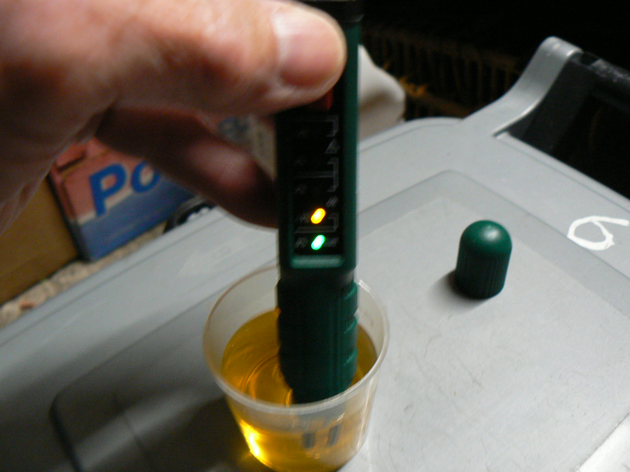 P1100531.JPG