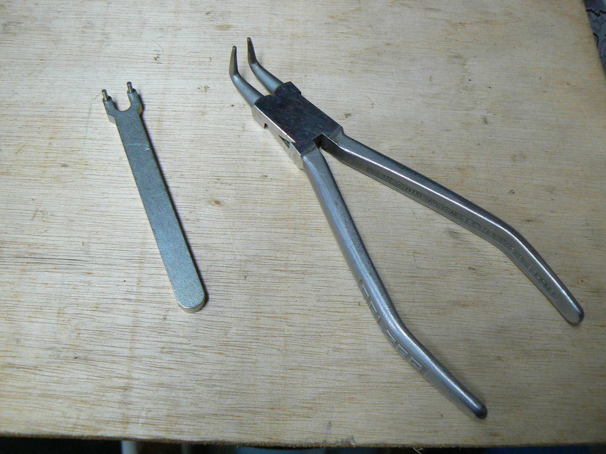 P1100544.JPG