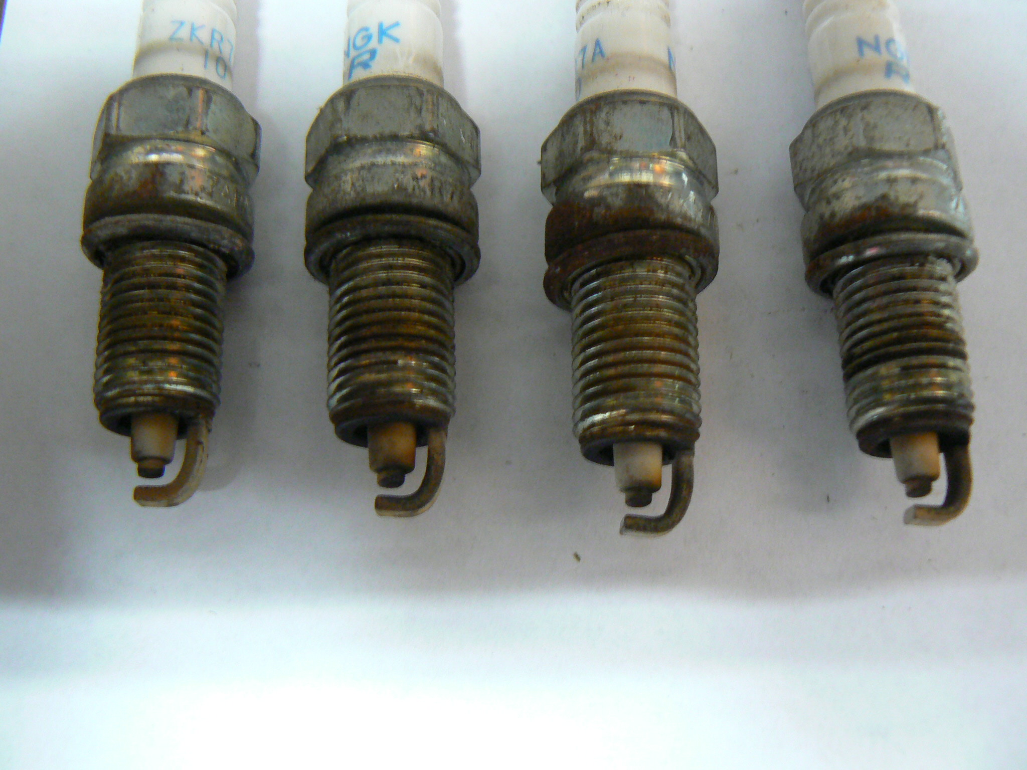 P1100551.JPG
