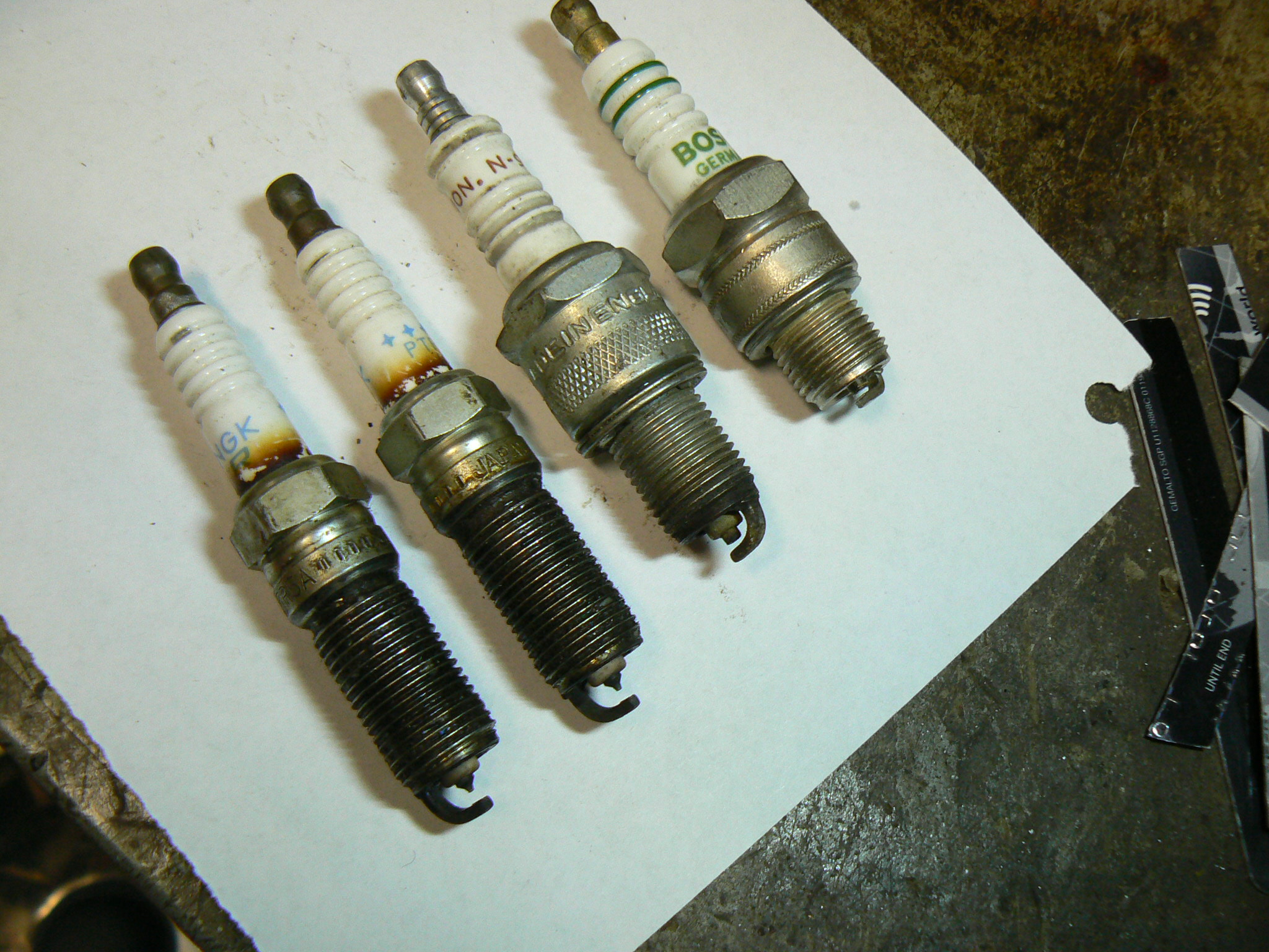 P1100564.JPG