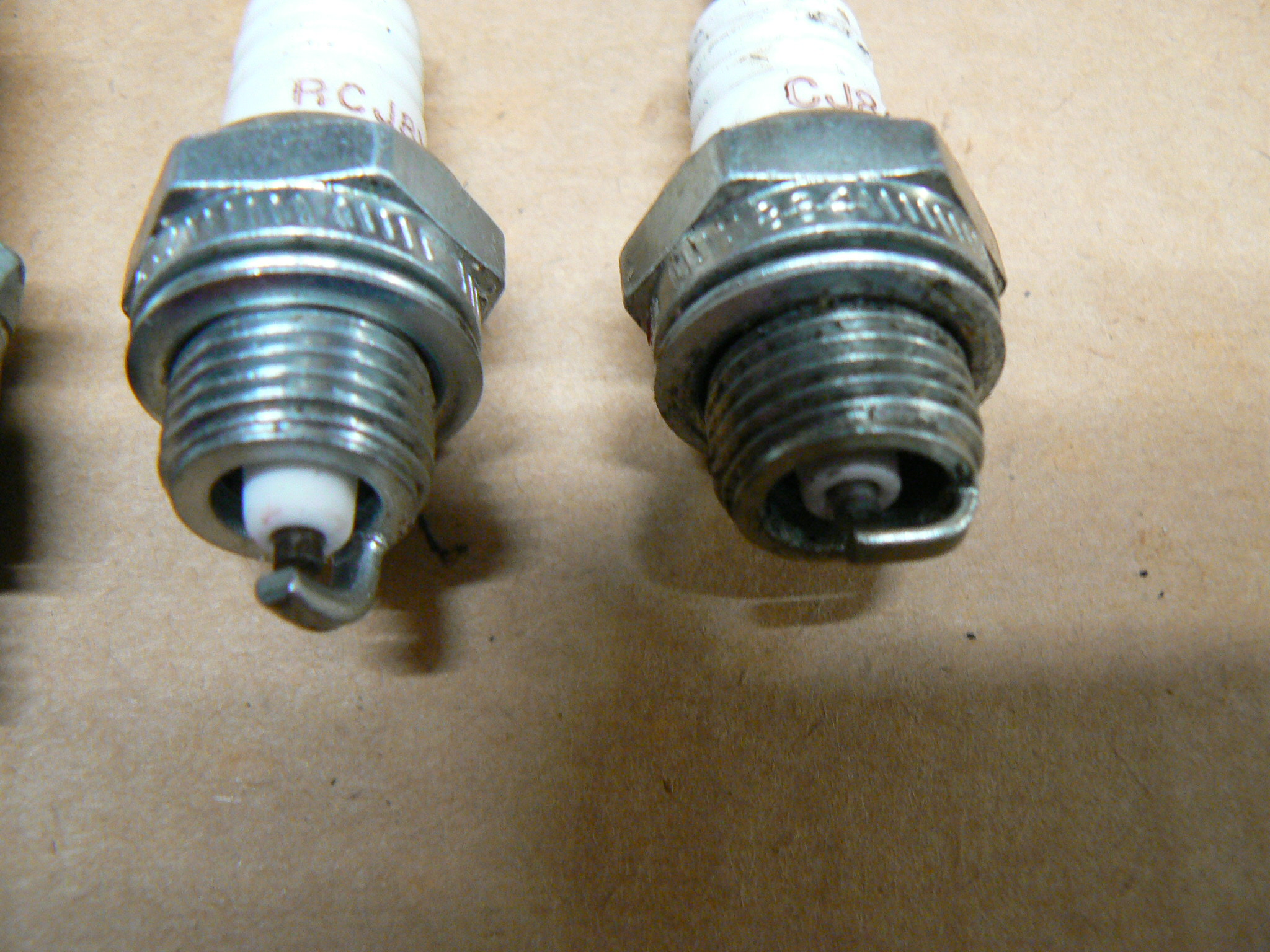 P1100891.JPG