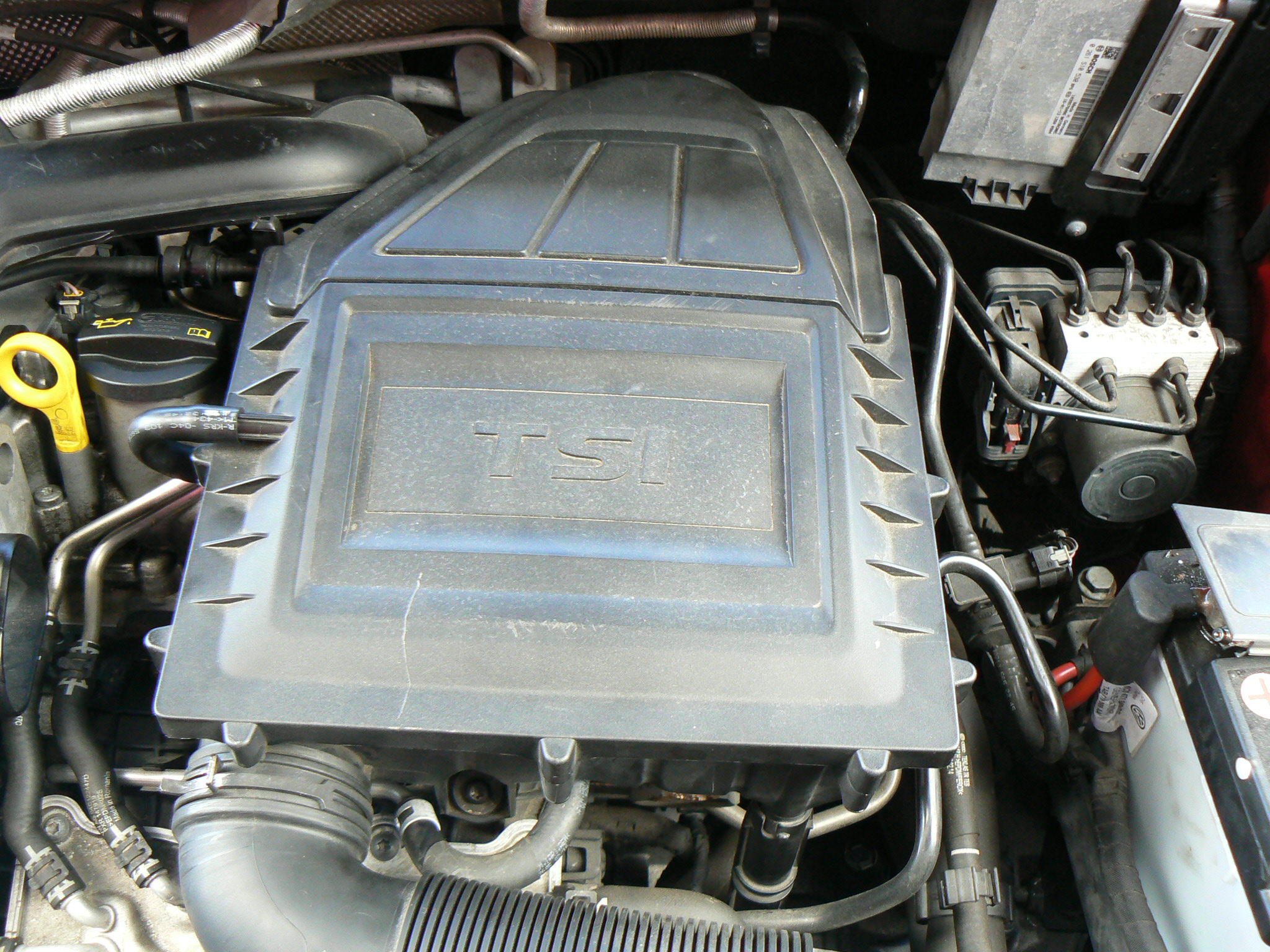 P1110036.JPG
