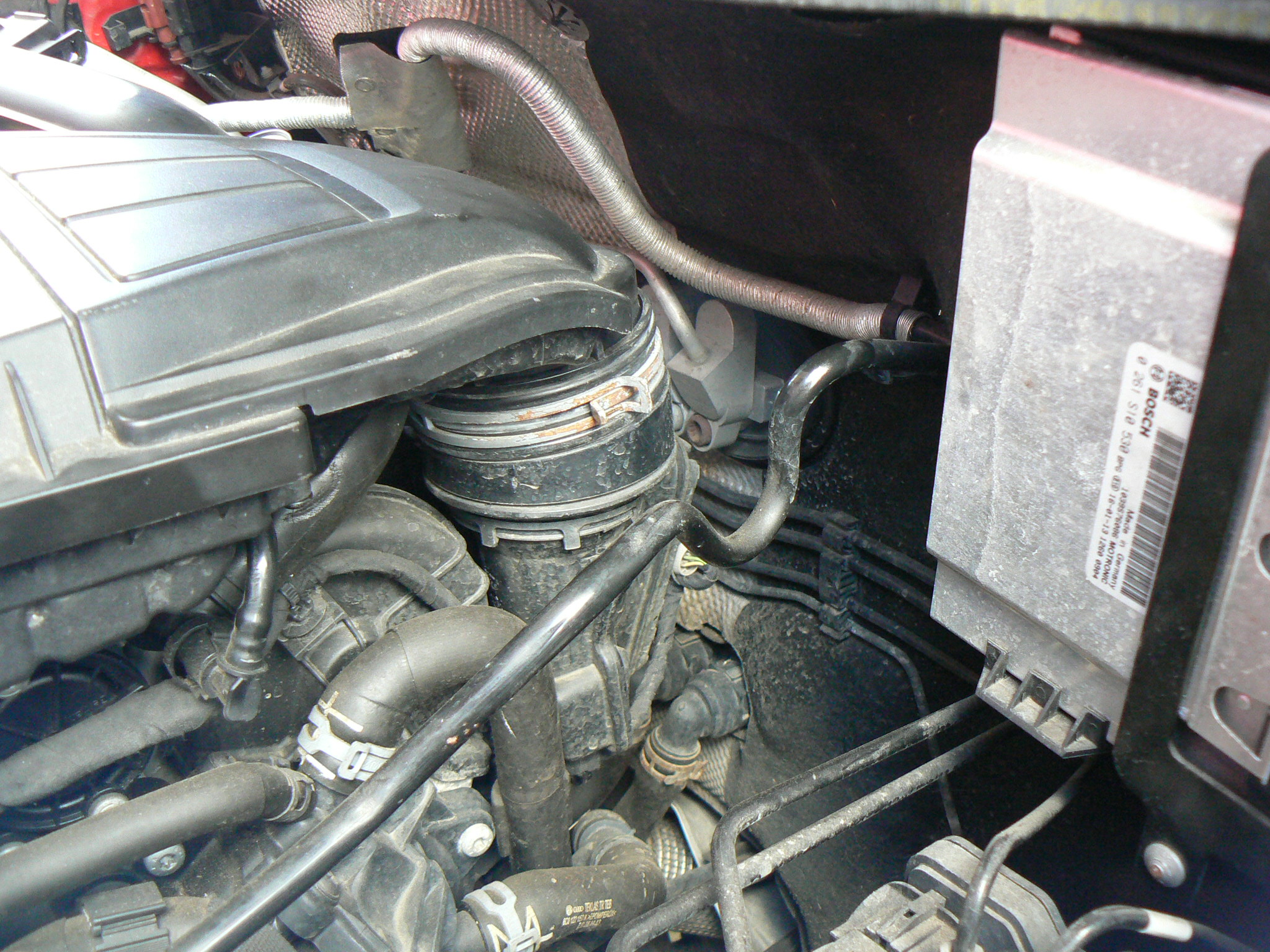 P1110038.JPG
