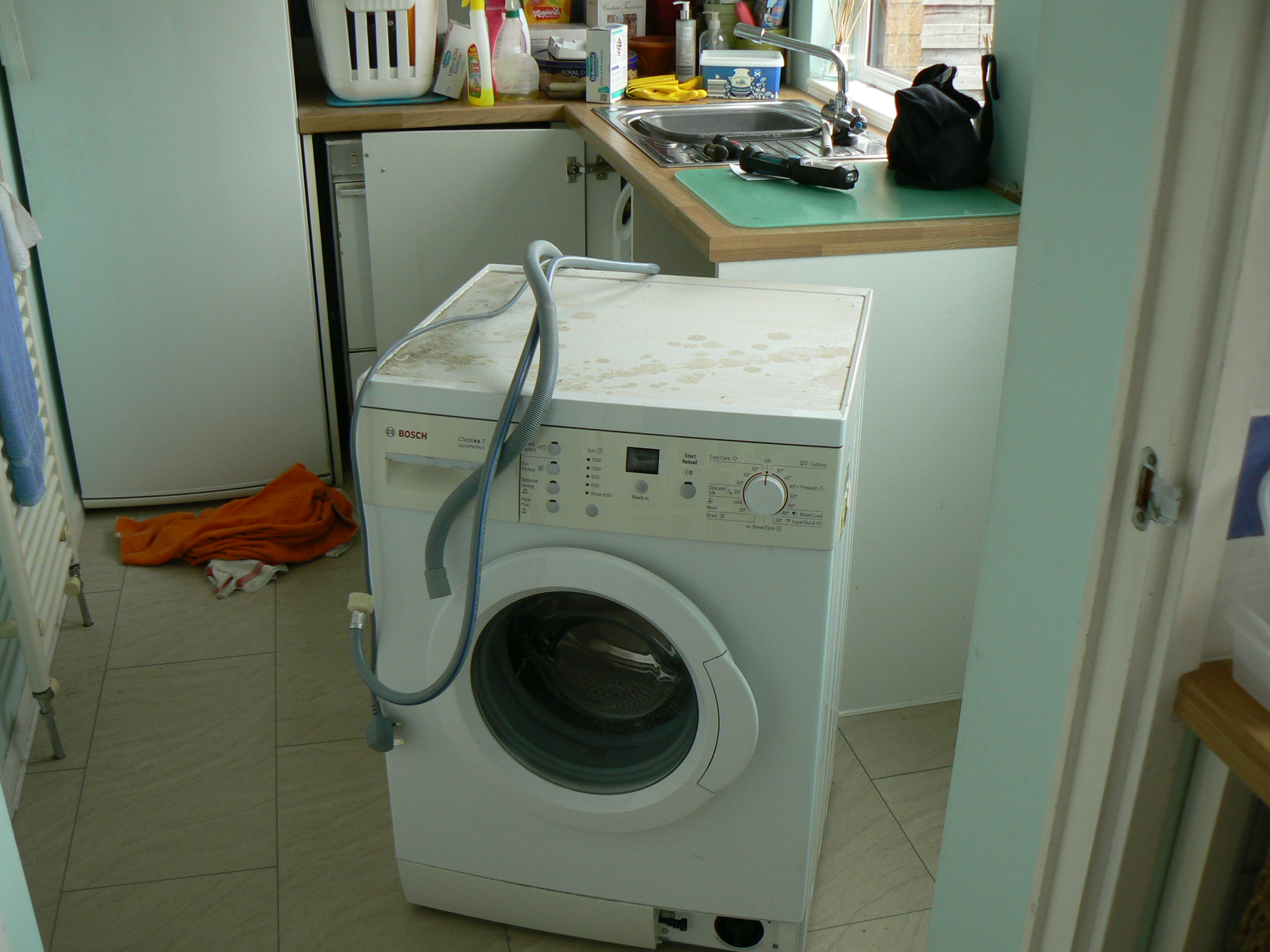 P1110734.JPG