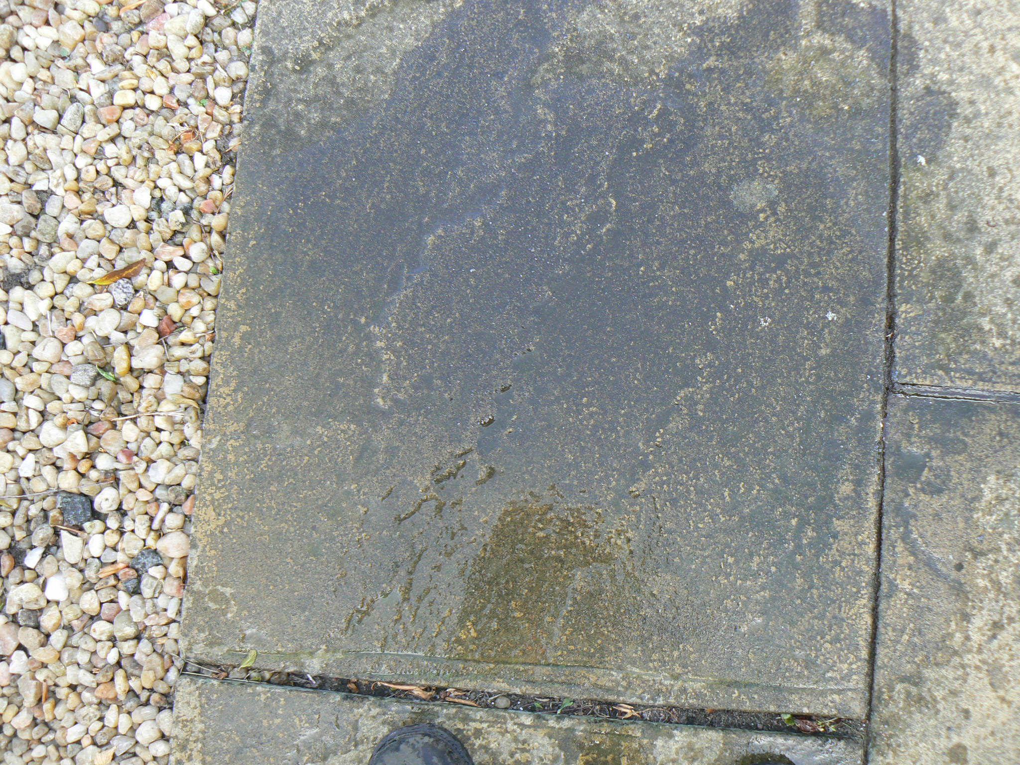 P1110942.JPG
