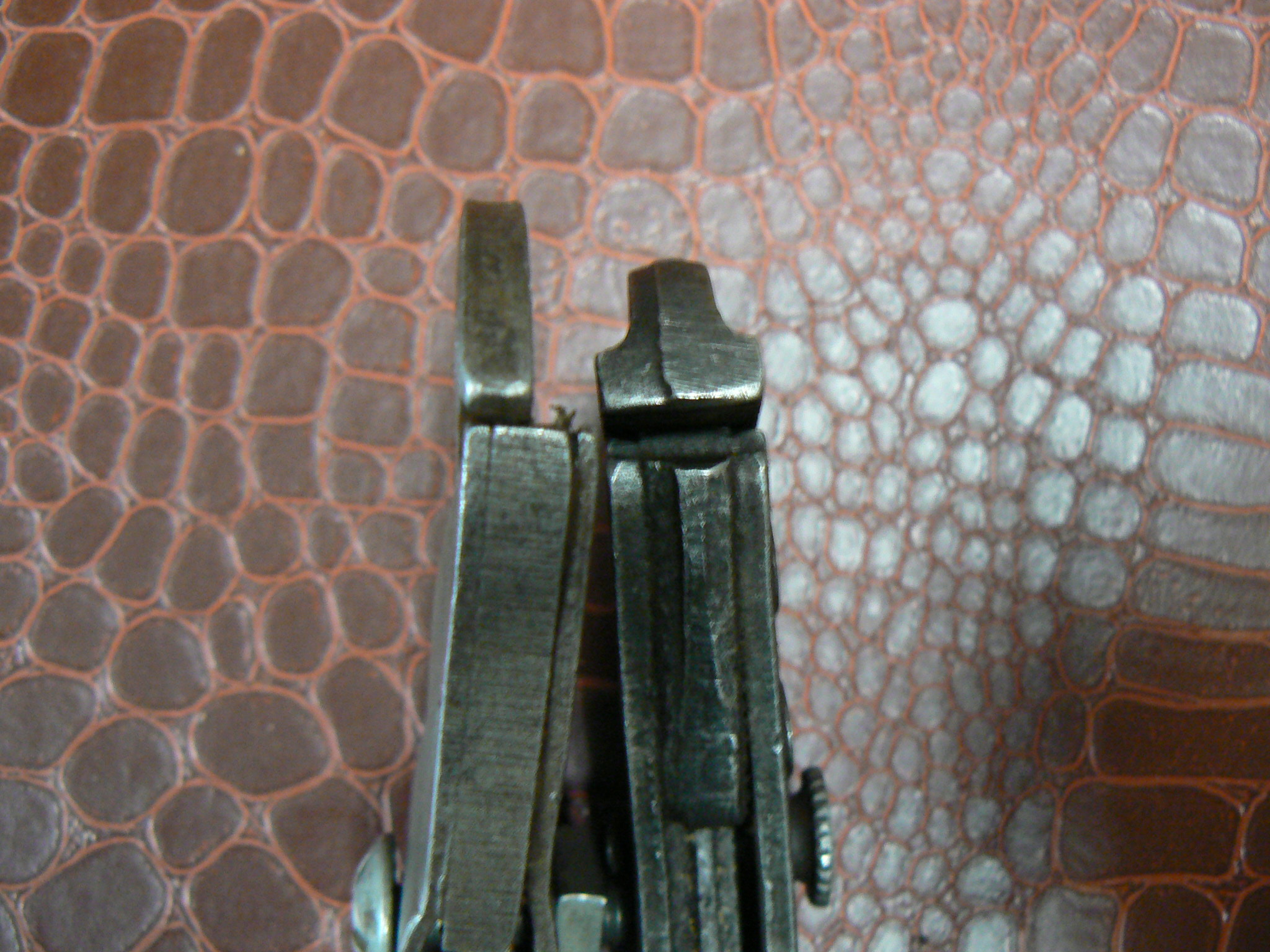 P1120103.JPG
