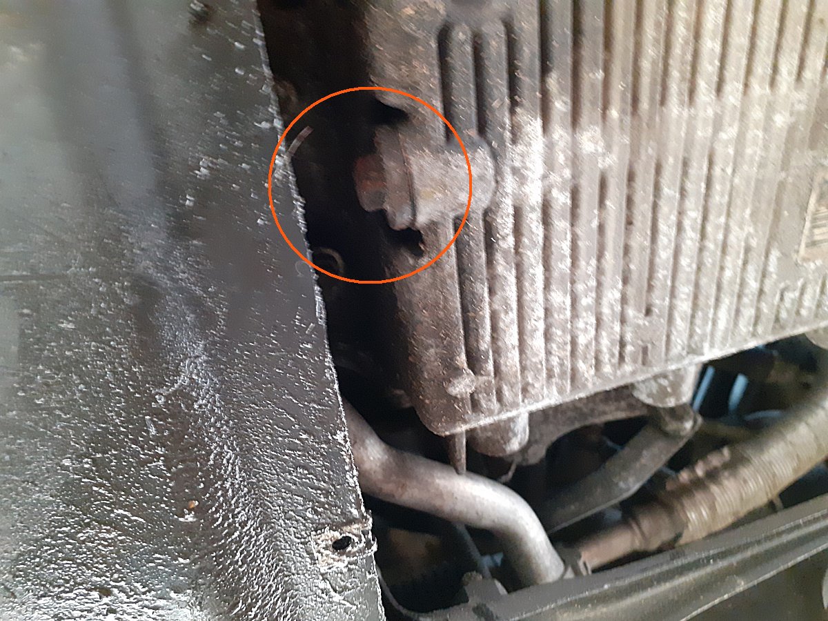 Possible Drain Plug.jpg