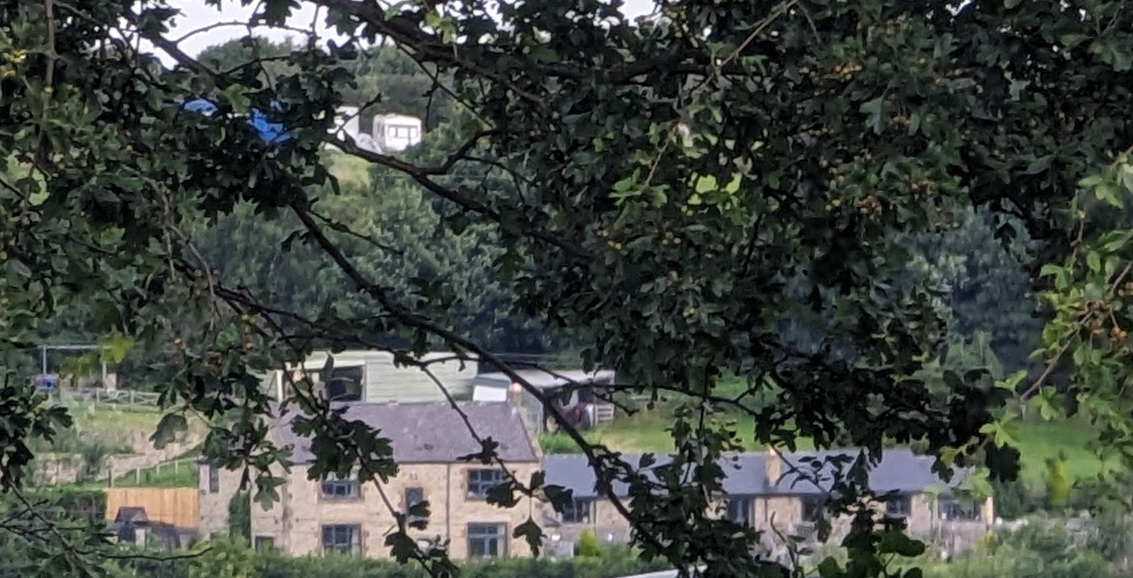 PXL_20230715_171517851.MP.jpg