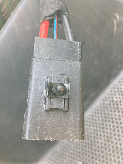 Socket1.jpg