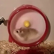 source.gif