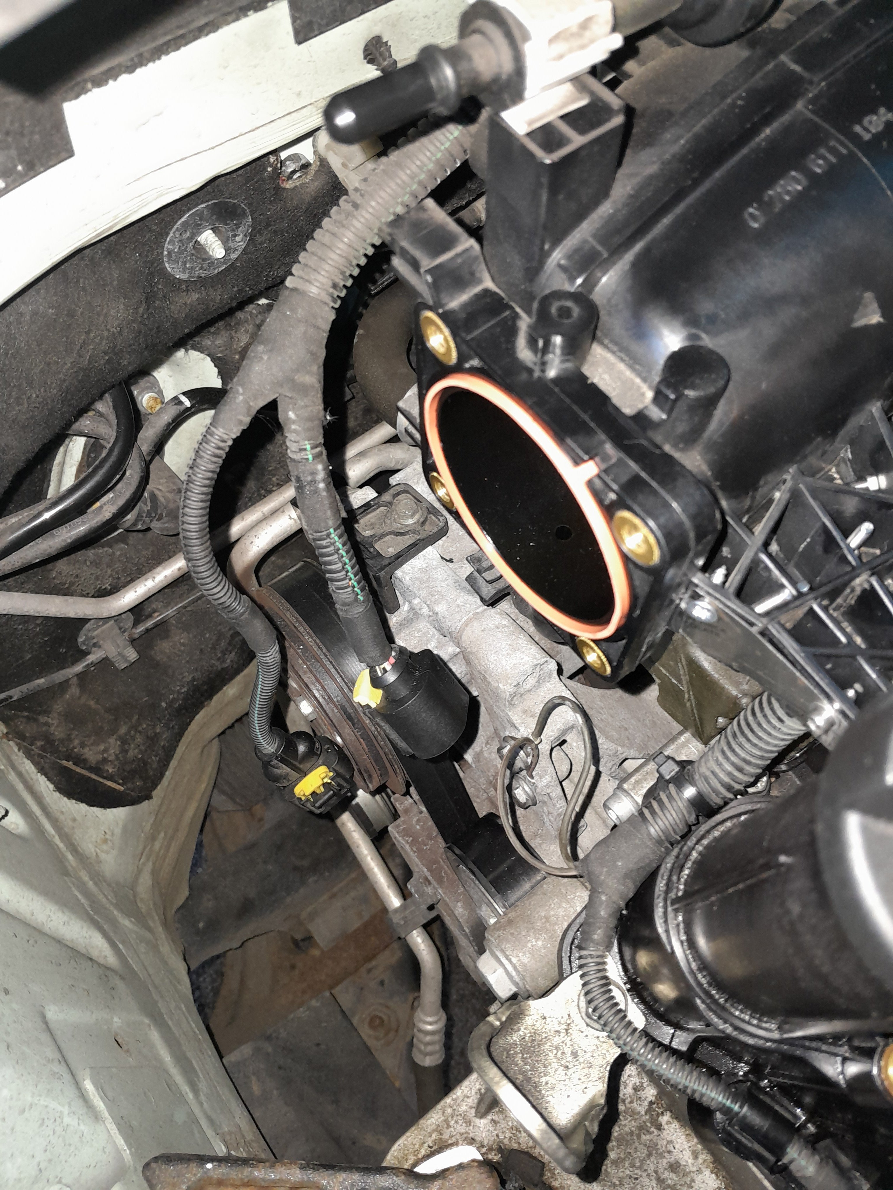Throttle body out.jpg