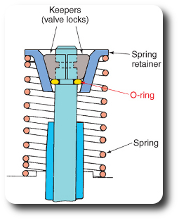 ValveOringCutaWay.jpg