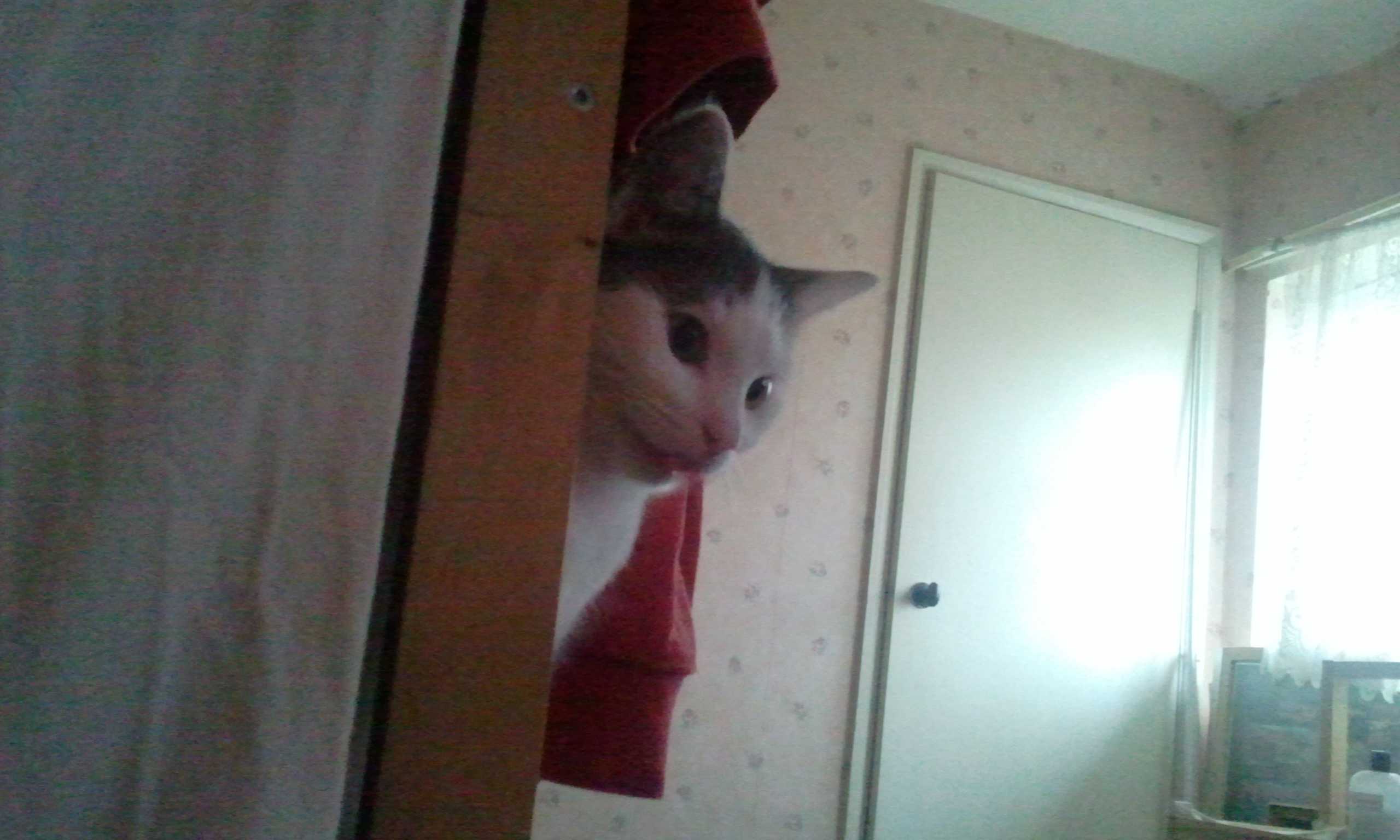 2010-12-13_09_11_25