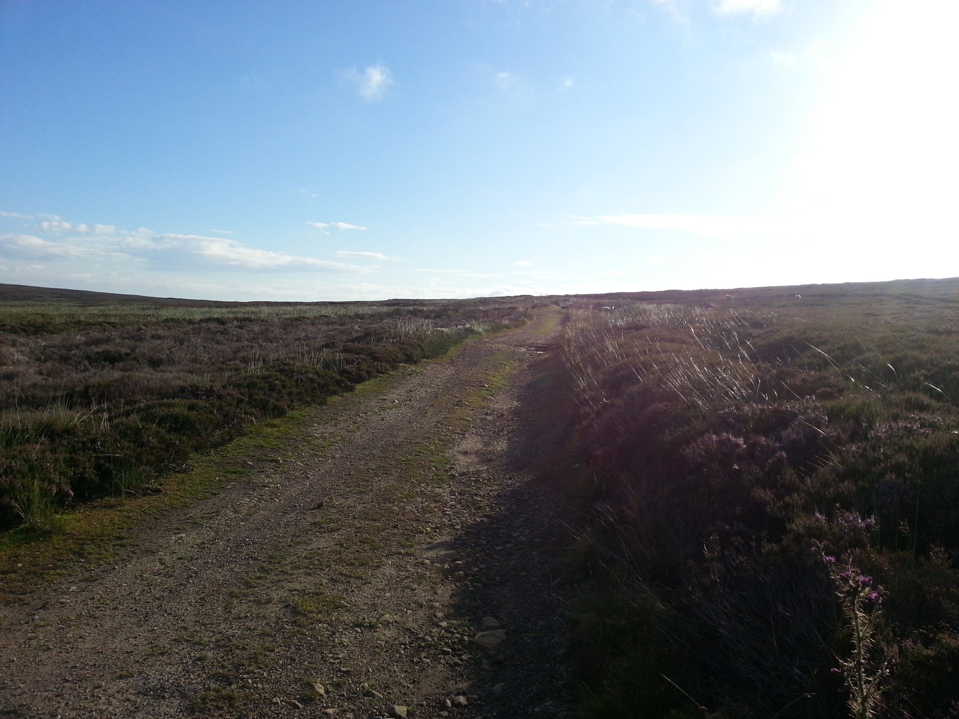 6 Dales Trail - Panday 5