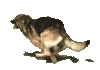 aa-2