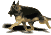 aa-4