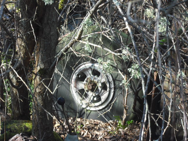 Aircraft wheel?