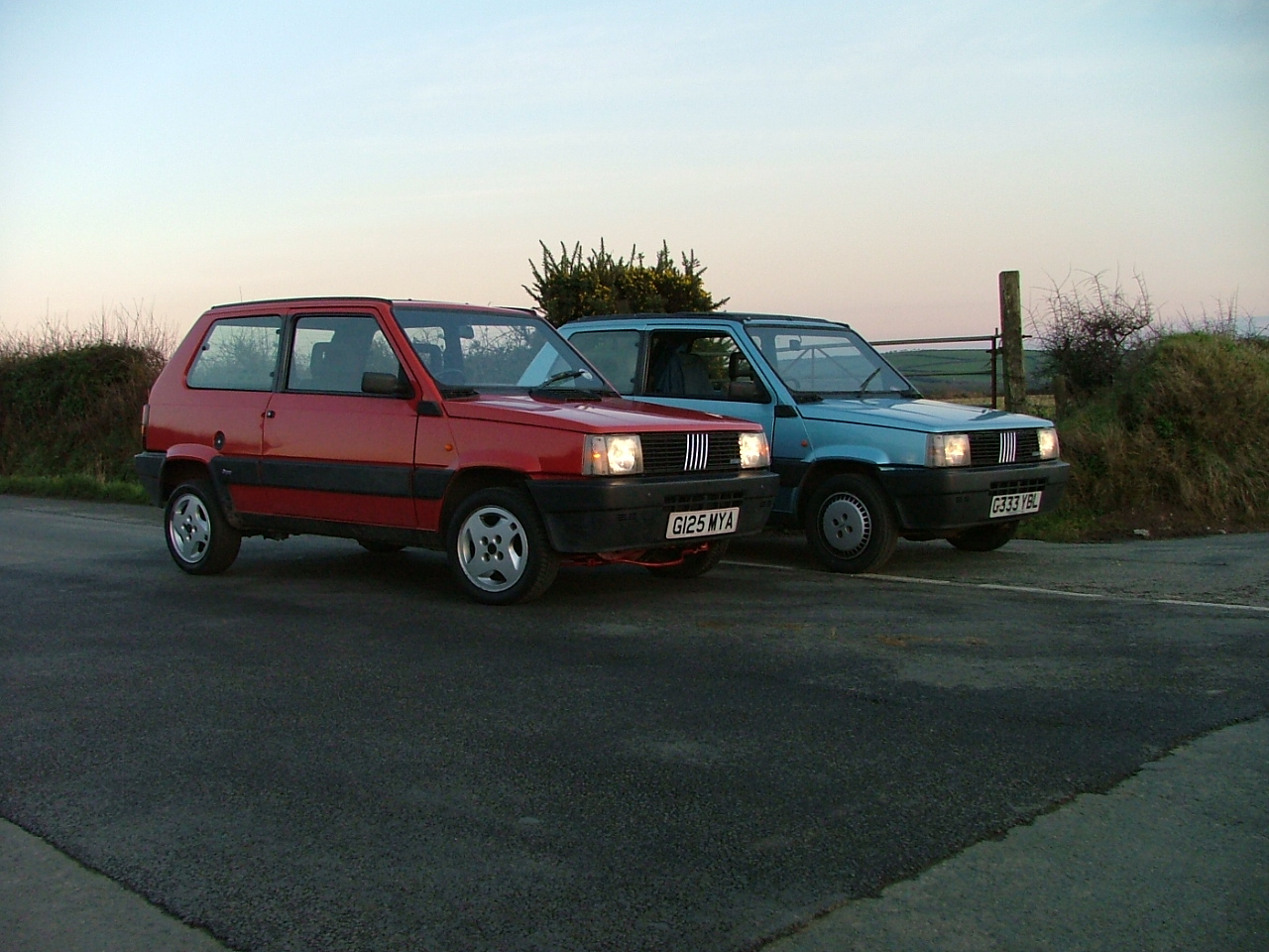Beasts of Bodmin