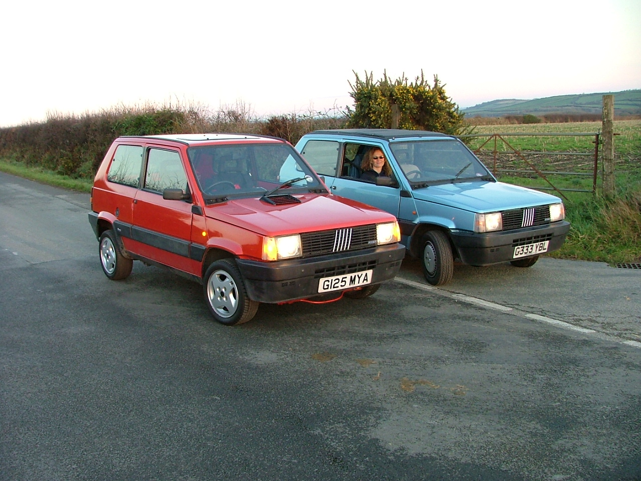 Beasts of Bodmin