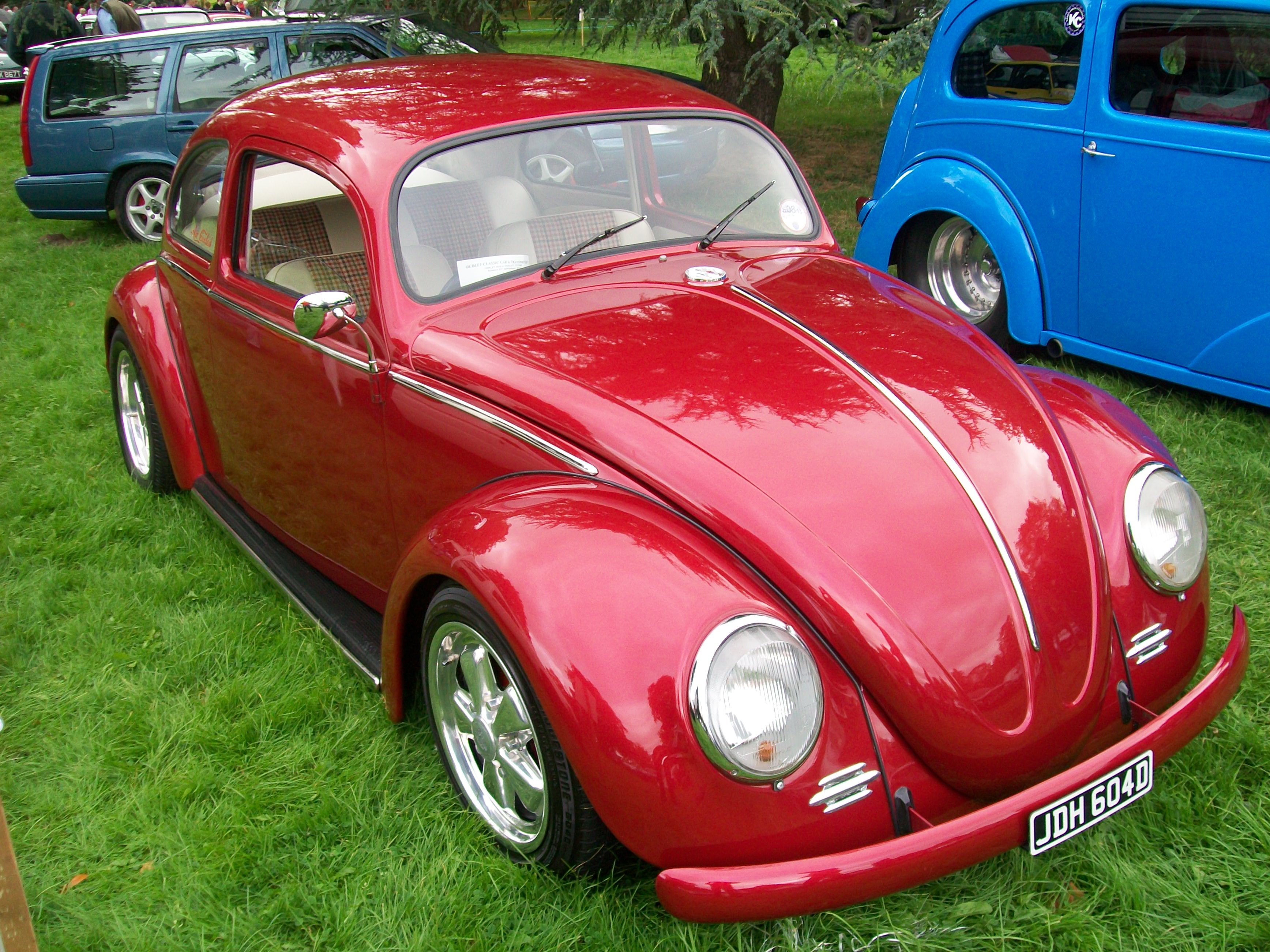 Beetle