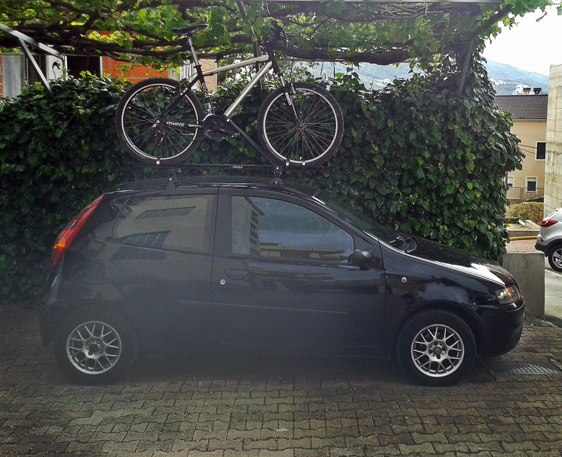 Black mk2
