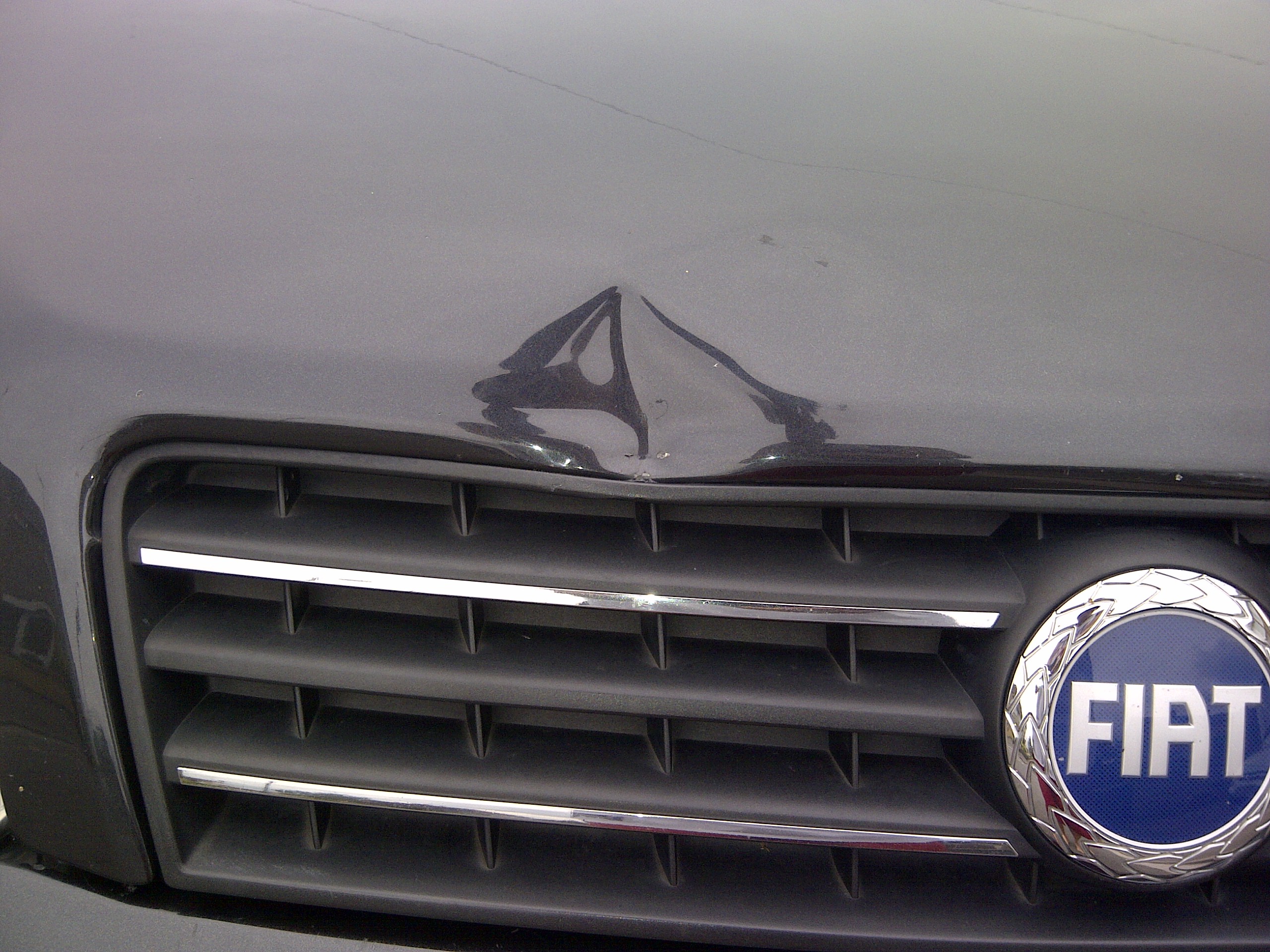 Bonnet Dent 2