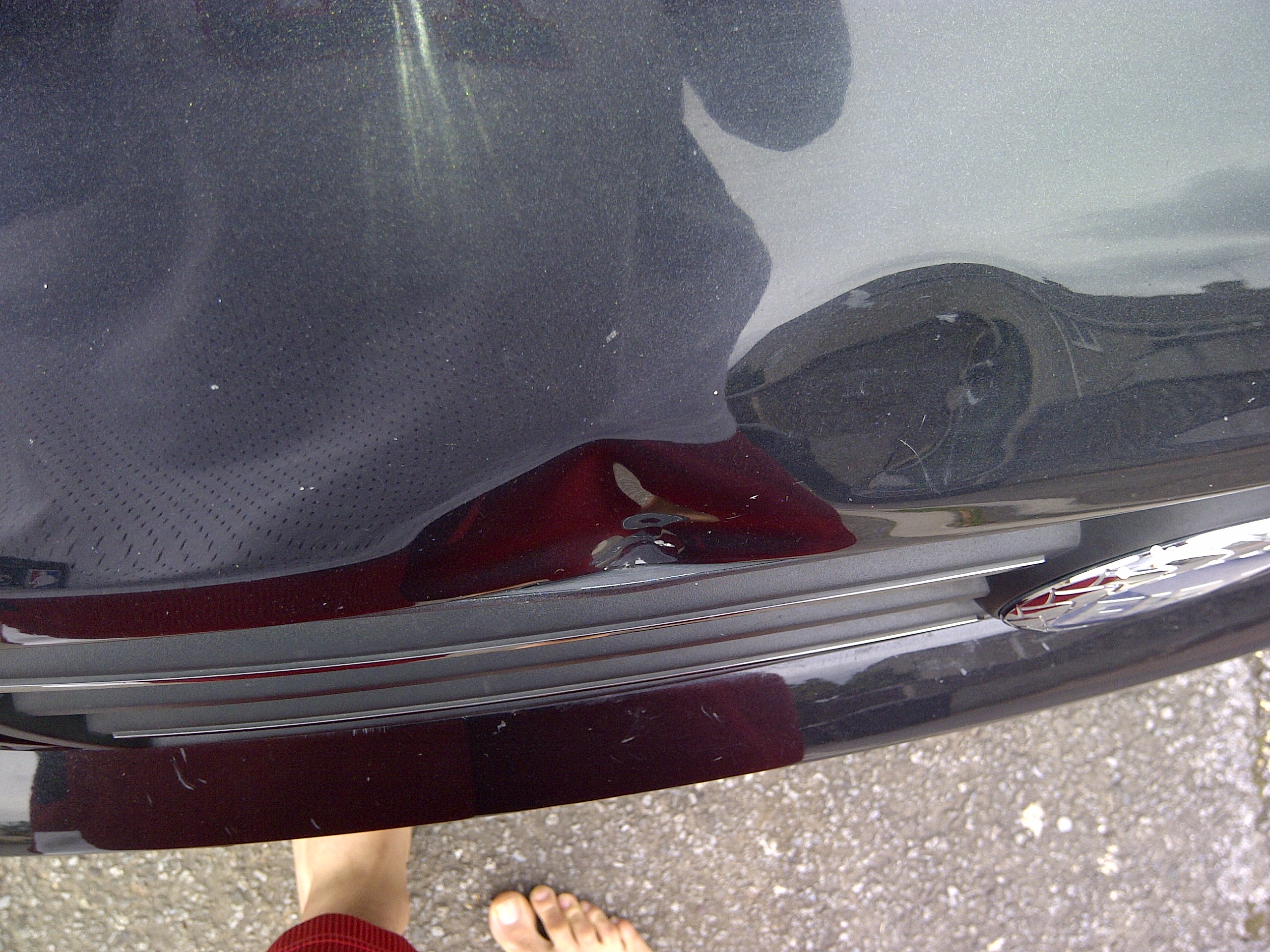 Bonnet Dent 3