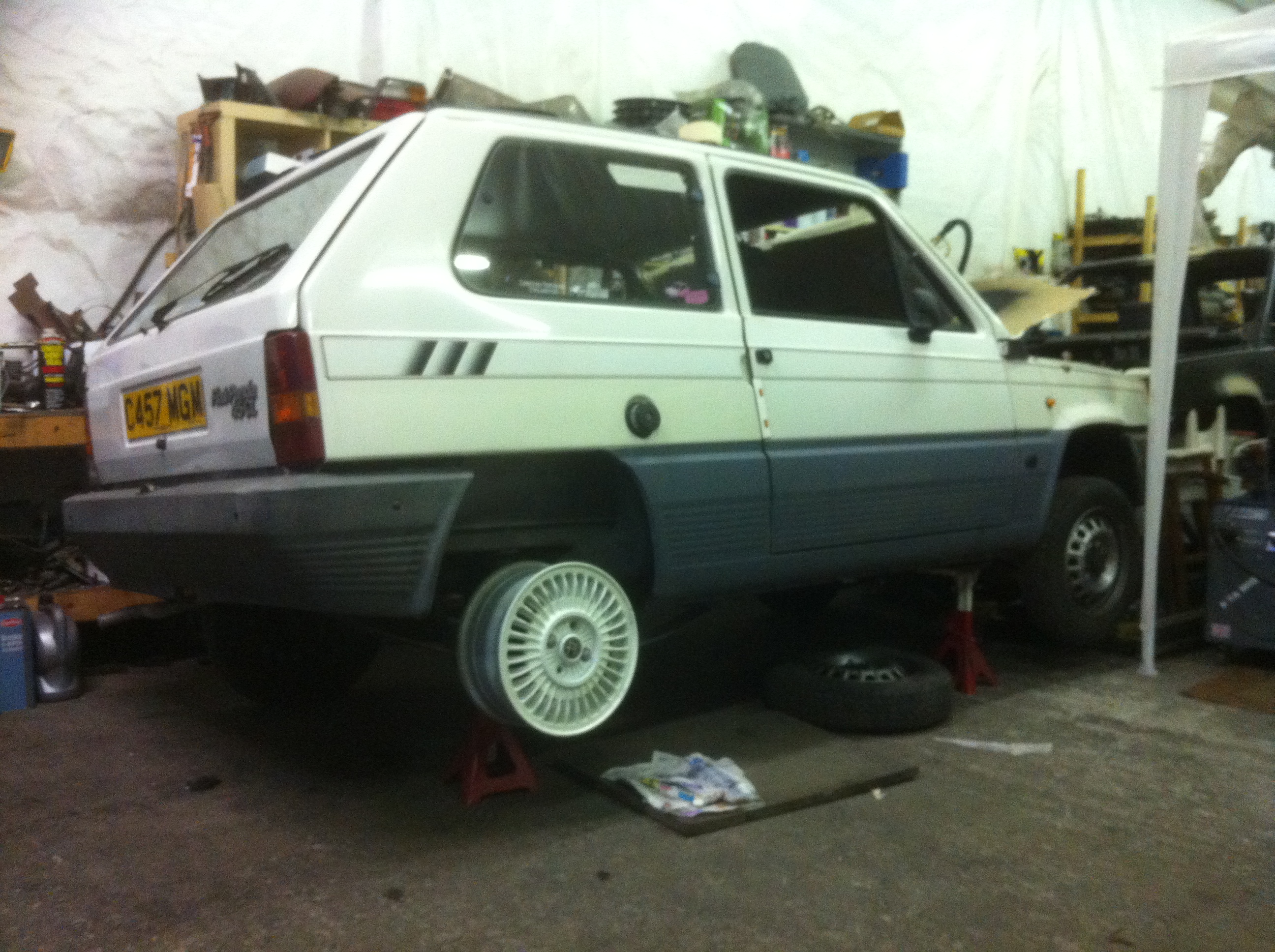 Casper our MK1 Panda.