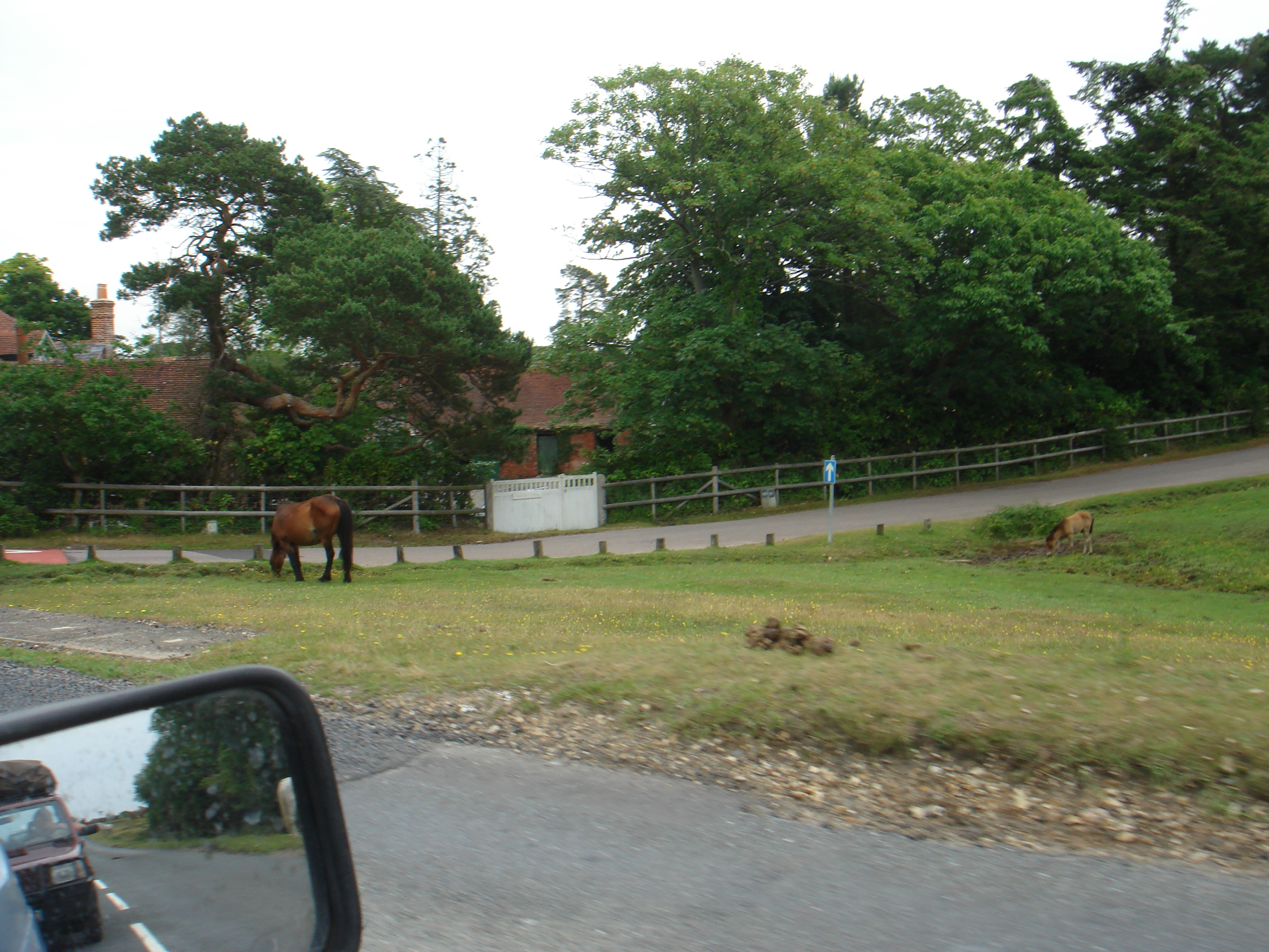 Convoy through New Forest to Beaulieu